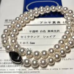 鑑別書付【花珠級】あこや真珠 パール ネックレス 真珠 シルバー刻印 7.5㎜