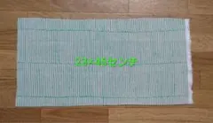 minaperhonen☆misty line　大きい　耳付き