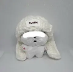 stayc スミン ぬいぐるみ 新品未開封 2025年最新】stayc ぬいぐるみの人気アイテム - メルカリ