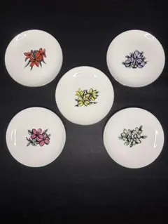 Adam&Eve 花柄　中皿　5枚セット　絵違い　たち吉