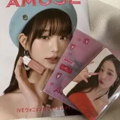 AMUSE ウォニョン　トレカ・トレカケース　パンフレット