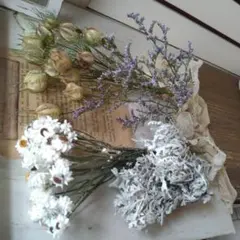 花材❄ドライフラワー