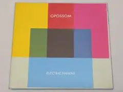 OPOSSOM／ELECTRIC HAWAII