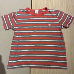 Champion ストライプ Tシャツ