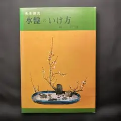2026年最新】嵯峨未生流の人気アイテム - メルカリ