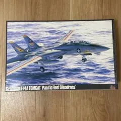 ハセガワ1/48 グラマンF-14Aトムキャット 太平洋空母航空団のサムネイル