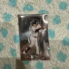 (即購入OK)西川遥輝