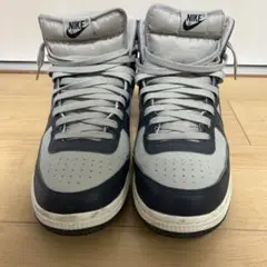 Nike Terminator High "Georgetown
