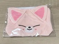 straykids 6期 ペンミ 韓国 コレクトケース アイエン トレカなし