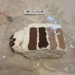 ALONGSTUDIO スクイーズ ケーキ