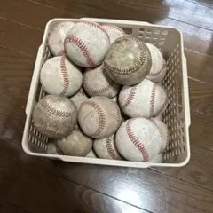 硬式野球ボール 40球 ティーバッティング用 自宅練習用 選抜甲子園 WBC 