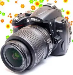 ショット数1260回 【極美品】Nikon D5000 レンズキット
