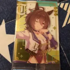 ウマ娘 アグネスタキオン カード シャドウバース まとめ売り 2026年最新】ウマ娘 シャドウバース アグネスタキオンの人気アイテム