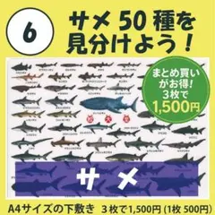 Item thumbnail for item dc073731-e007-4ea7-ac6c-65de36d29efc