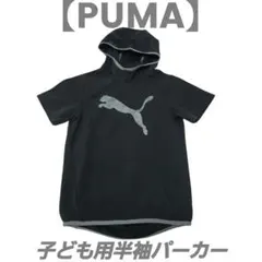 Item thumbnail for item 9b123730-b104-451e-99fc-8081ccd3e039