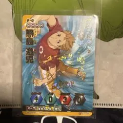 ハイキュー バボカ サインカード