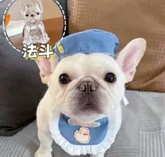 犬の毛 保存ケース キーホルダー ペット メモリアルグッズ　フレンチブルドッグ