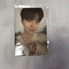 SEVENTEEN トレカ ディノ DINO