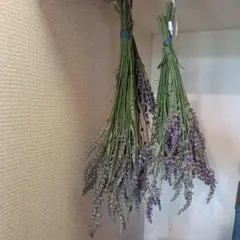 ドライフラワー ラベンダー 花束　100本のサムネイル