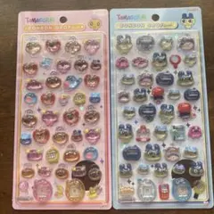 正規品　公式にて当選