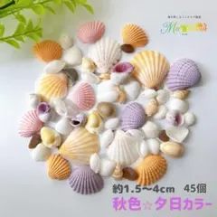 貝殻　貝殻セット　秋色　夕日　工作　材料　デコパーツ　シェル　海　アソート