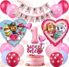 パウパトロール 誕生日 豪華 1歳 セット 女の子 パトロール 犬 パウパト