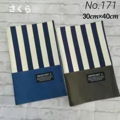 No.171✨️ランチョンマット2枚セット✨️ ストライプ柄