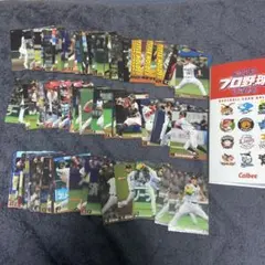 2013 プロ野球チップスカード　まとめ売り ファイル付き