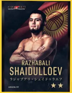 Item thumbnail for item e23d3587-b90a-482d-90e1-fd64ba24d26e