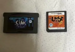 シムズ　アドバンス　DS セット