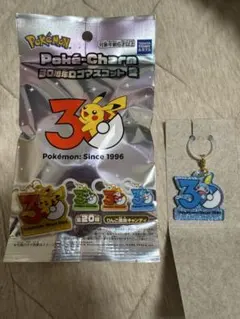 ポケモン 30周年ロゴマスコット2 メッソン アクリルキーホルダー