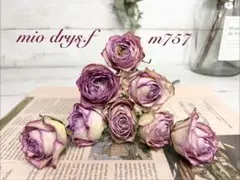 ⭐️❤︎可愛いアイボリー&ピンク❤︎⭐️ドライフラワーバラ❤︎⭐️ドライフラワー花材⑥復色❤︎