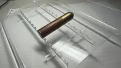 Item thumbnail for item cb317224-e772-47f0-86d1-fb306ad3f2c8