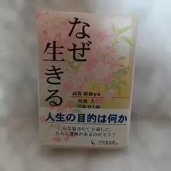 Item thumbnail for item aebd66b0-4dff-4066-a613-1b0802695558