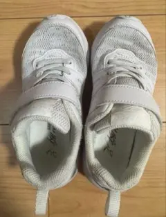 Item thumbnail for item 871ba70e-6904-4f03-a661-b6d104165641