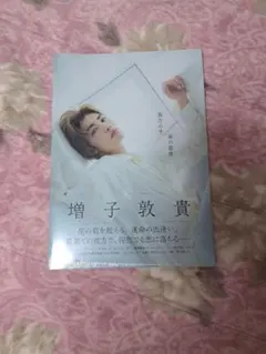 Item thumbnail for item c1bfc7df-9f94-4816-8ed9-461748e3b29c