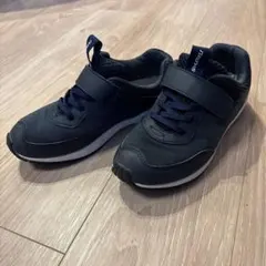 Item thumbnail for item ccaceef3-db47-4049-b648-4c339bb86c4c