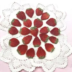 Item thumbnail for item f86885a0-2dd3-4458-abbd-ed8c7c34d7ce