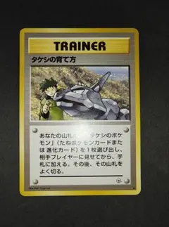 2025年最新】タケシの育て方の人気アイテム - メルカリ