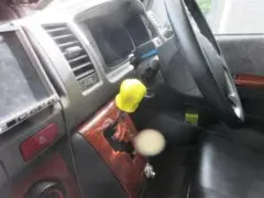 Item thumbnail for item 5a4b44cb-7d00-4b77-87d9-2d5e29680ab4