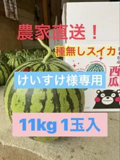 けいすけ様専用