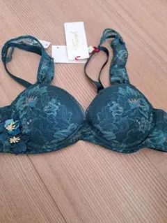 トリンプ　ブラ