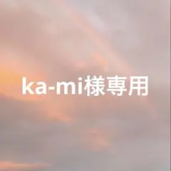ka-mi様専用