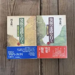 発掘の迷路を行く 上