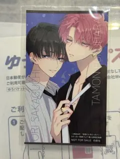 2026年最新】坂口桜利の人気アイテム - メルカリ