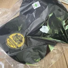 ぽこあポケモン オリジナルキャップメタモン　エディオン　特典