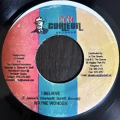 Wayne Wonder - I Believe 7インチ レゲエ レコード