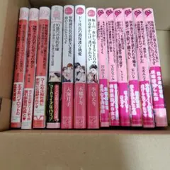 もも様専用小説セット