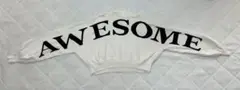 AWESOME ロゴ入り ホワイトセーター フリーサイズ