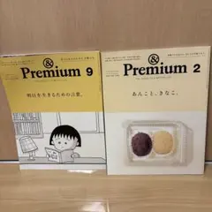 &Premium 2024年9月号・2月号 2冊セット